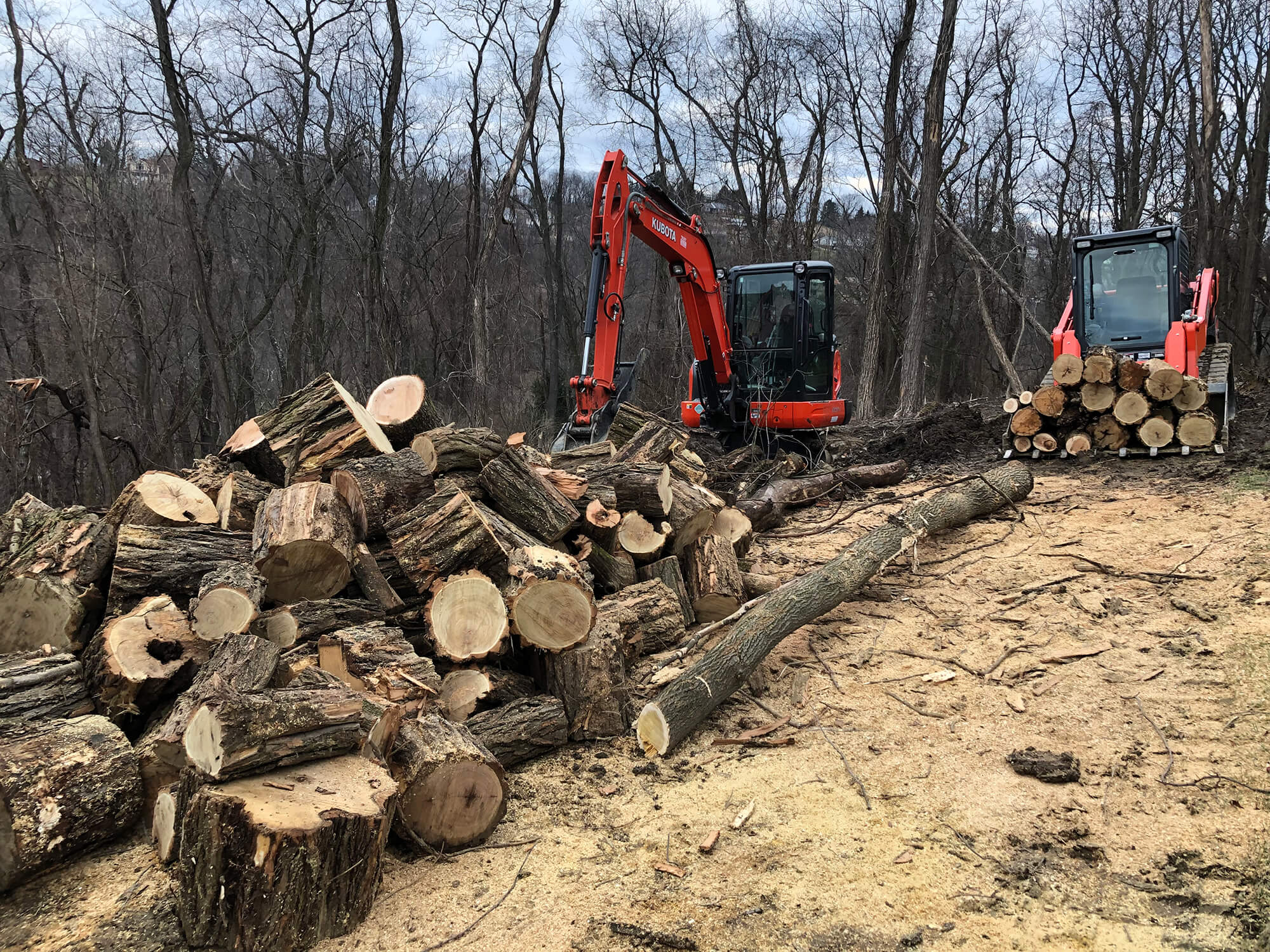 Site Preperation Excavation Services in Wexford Pennsylvania